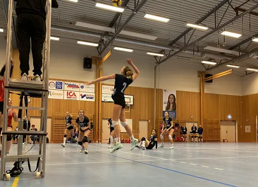 Fler bilder i bildbiblioteket på lagsidan!