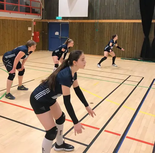VSS i Habo!