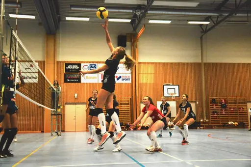 Seriepremiär i division 2.          Lagbild: Per Carlsson