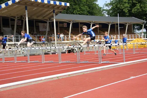 Kraftmätningen Kval 20 juni, 2021 på Slottsskogsvallen (foto: Tuva Kündig).