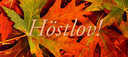 Höstlov vecka 44, och ingen ordinarie träning mellan den 26/10 - 1/11 för våra grupper.