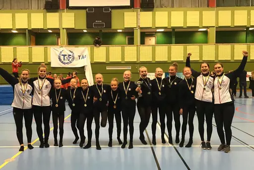 Norrtälje GF - GT Vikingarna