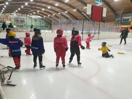 Bilder från prova-på träning den 20/3