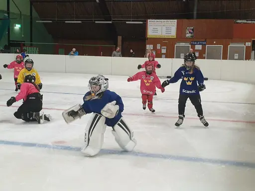 Bilder från prova-på träning den 20/3