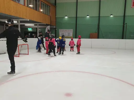 Bilder från prova-på träning den 20/3