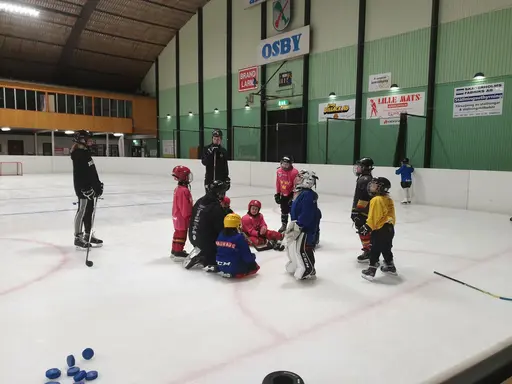 Bild från prova-på träning för tjejer den 20/3