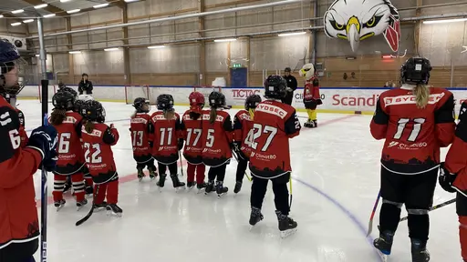 Föräldramatch och Hawkan kom på besök!