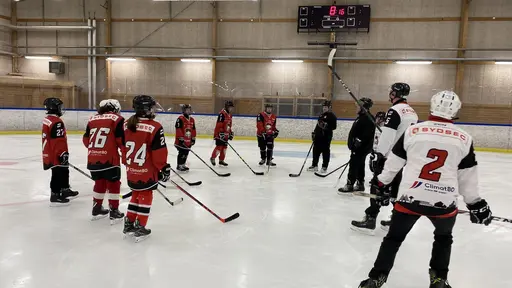 Föräldramatch och Hawkan kom på besök!