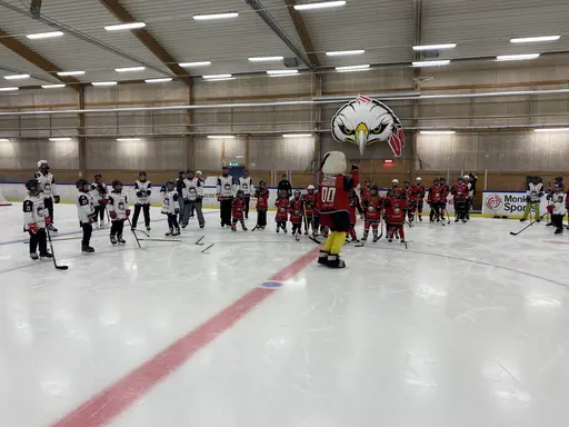 Föräldramatch och Hawkan kom på besök!