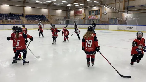 Föräldramatch och Hawkan kom på besök!