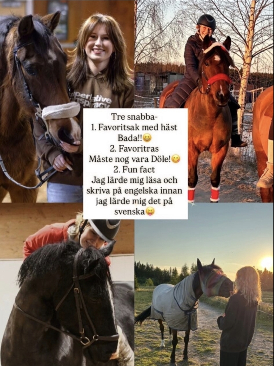 Miranda MacNeil och Tindra, Munsboro Scarlet Rose och Orlic
