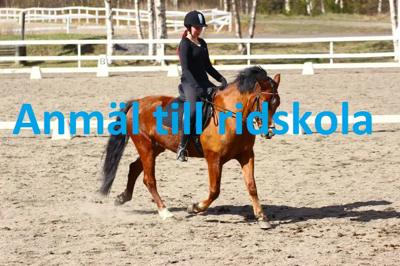 Anmälan till ridskolan