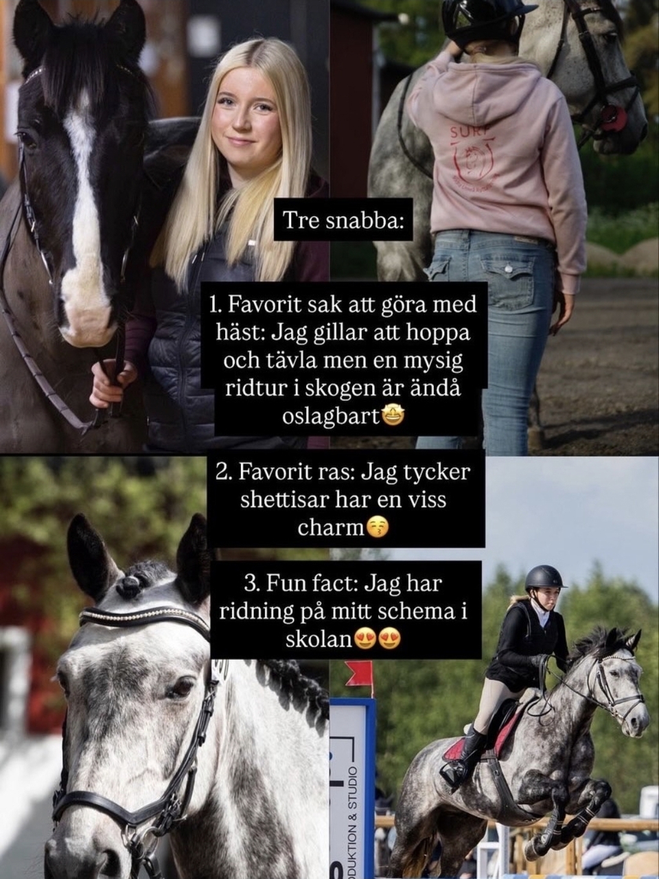 Alice Wänman, Munsboro Nixon och Munsboro Captain Jack