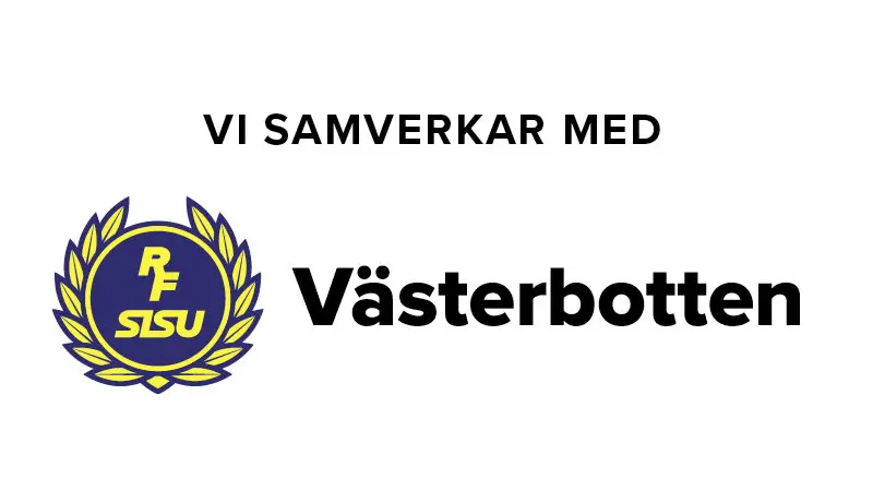 Sisu
