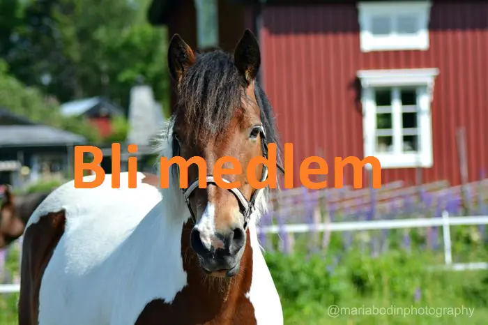 Bli medlem