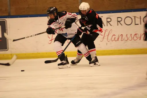 Bilder främst från sista matchen Lejonet-Giants 23 februari 2020