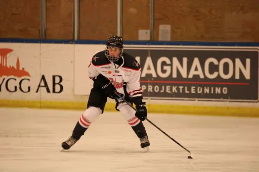 Bilder främst från sista matchen Lejonet-Giants 23 februari 2020