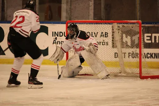 Bilder främst från sista matchen Lejonet-Giants 23 februari 2020
