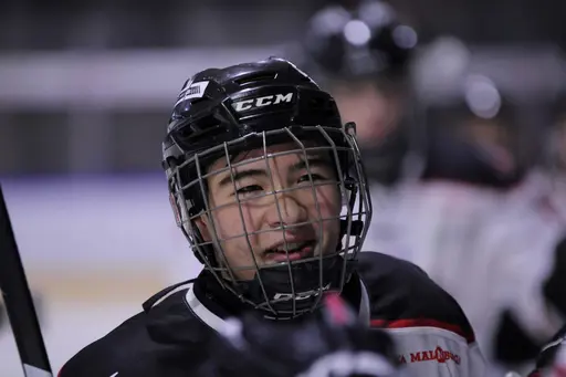 Bilder främst från sista matchen Lejonet-Giants 23 februari 2020
