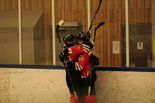 Bilder främst från sista matchen Lejonet-Giants 23 februari 2020