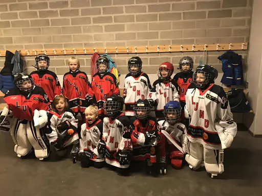 Hockeyskolans 10:or ska spela match mot Malmö Redhawks 