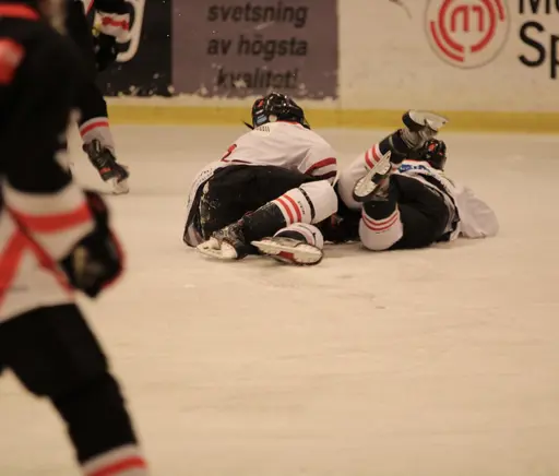 Bilder främst från sista matchen Lejonet-Giants 23 februari 2020