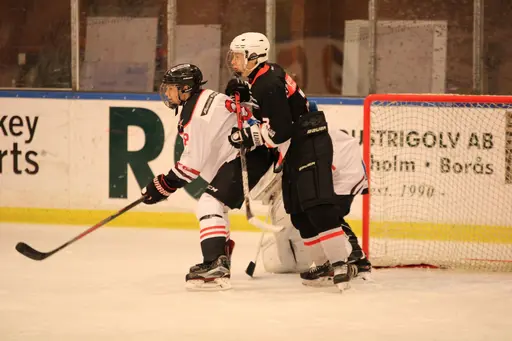Bilder främst från sista matchen Lejonet-Giants 23 februari 2020