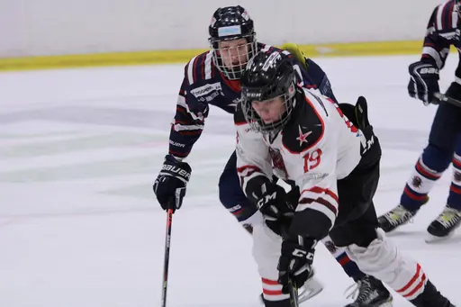 Bilder främst från sista matchen Lejonet-Giants 23 februari 2020