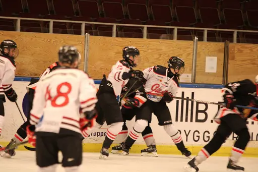 Bilder främst från sista matchen Lejonet-Giants 23 februari 2020