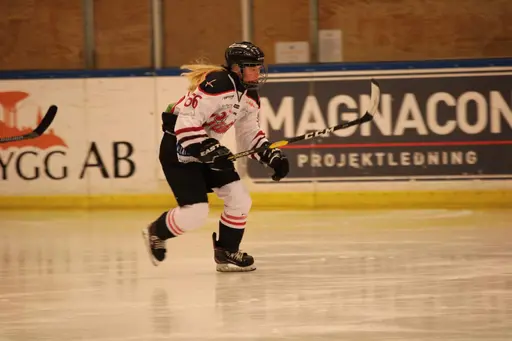 Bilder främst från sista matchen Lejonet-Giants 23 februari 2020