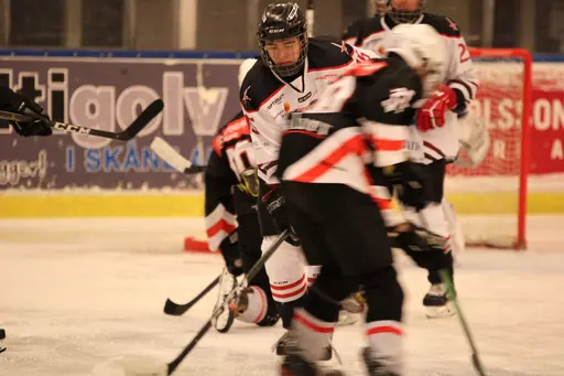 Bilder främst från sista matchen Lejonet-Giants 23 februari 2020