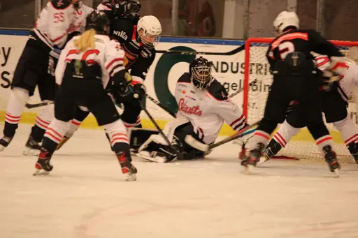 Bilder främst från sista matchen Lejonet-Giants 23 februari 2020