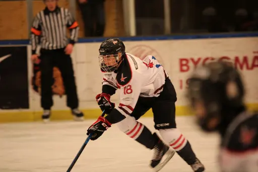 Bilder främst från sista matchen Lejonet-Giants 23 februari 2020