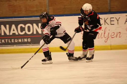 Bilder främst från sista matchen Lejonet-Giants 23 februari 2020
