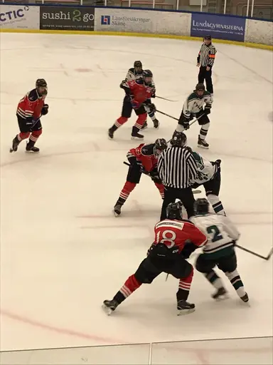 Anderssons Motor Garage sponsrar på matchtröjorna och hjälmarna!