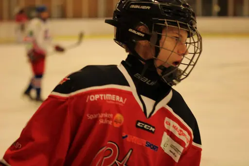 Bilder främst från sista matchen Lejonet-Giants 23 februari 2020