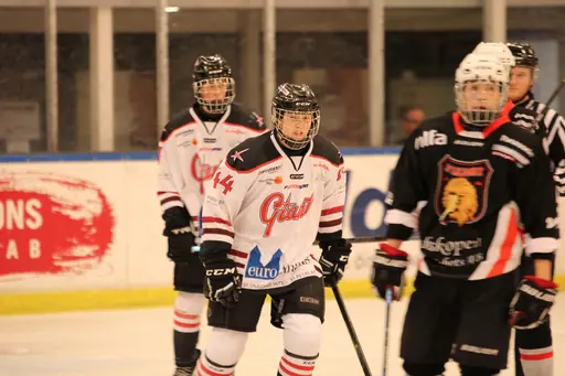 Bilder främst från sista matchen Lejonet-Giants 23 februari 2020