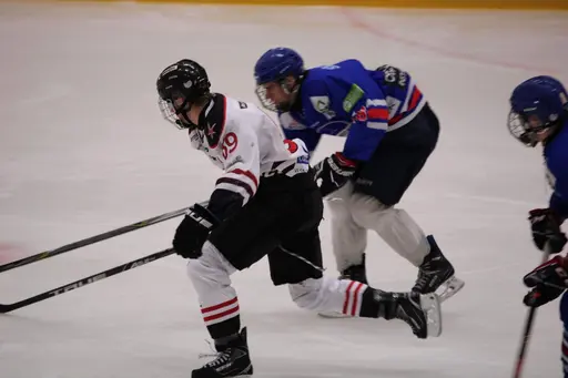 Bilder främst från sista matchen Lejonet-Giants 23 februari 2020