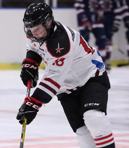 Bilder främst från sista matchen Lejonet-Giants 23 februari 2020