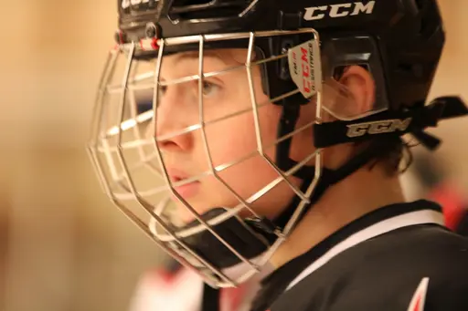 Bilder främst från sista matchen Lejonet-Giants 23 februari 2020