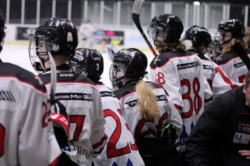 Bilder främst från sista matchen Lejonet-Giants 23 februari 2020