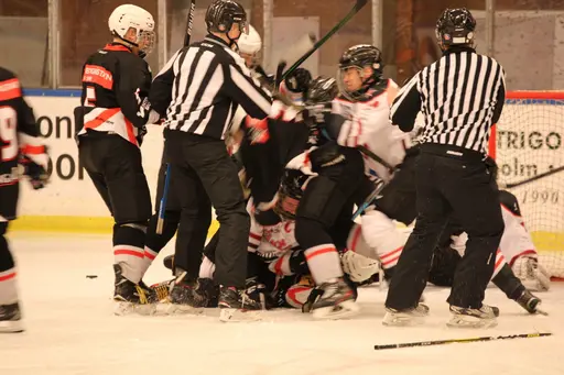 Bilder främst från sista matchen Lejonet-Giants 23 februari 2020