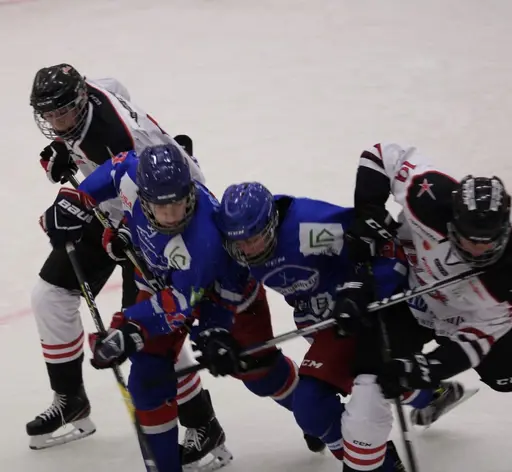 Bilder främst från sista matchen Lejonet-Giants 23 februari 2020