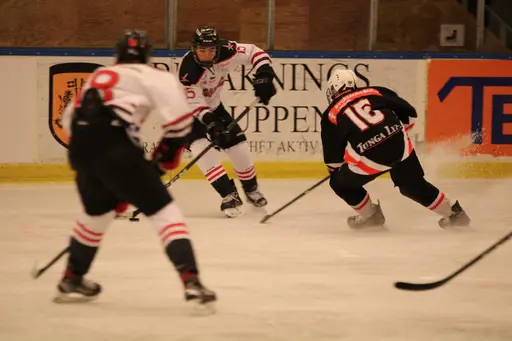 Bilder främst från sista matchen Lejonet-Giants 23 februari 2020