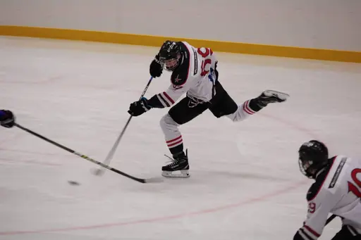 Bilder främst från sista matchen Lejonet-Giants 23 februari 2020