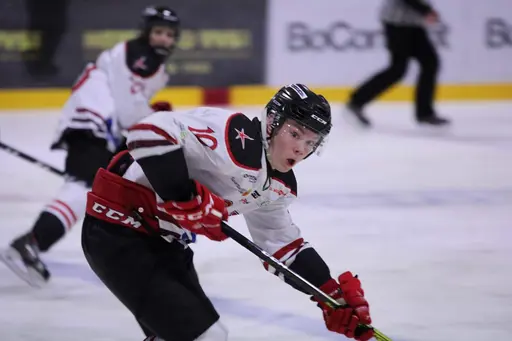 Bilder främst från sista matchen Lejonet-Giants 23 februari 2020