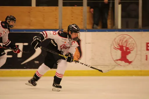 Bilder främst från sista matchen Lejonet-Giants 23 februari 2020