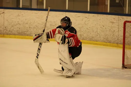 Bilder främst från sista matchen Lejonet-Giants 23 februari 2020