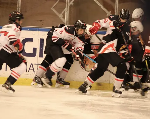 Bilder främst från sista matchen Lejonet-Giants 23 februari 2020