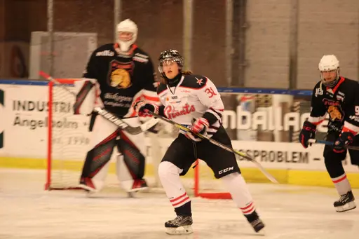 Bilder främst från sista matchen Lejonet-Giants 23 februari 2020